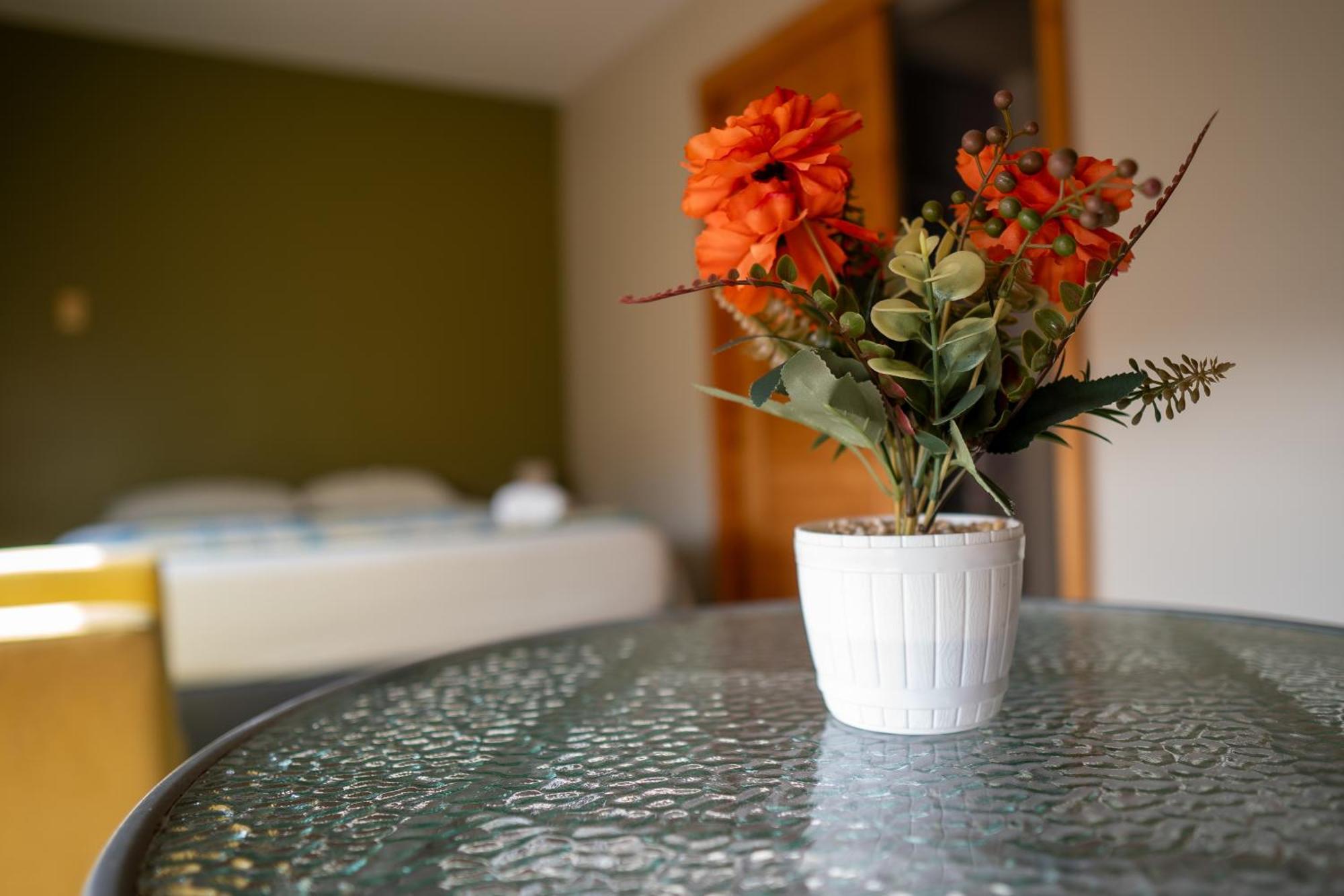 Trugarden Hotel 特鲁希略 外观 照片